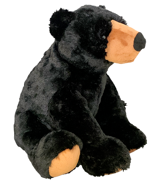 Finn The Black Bear