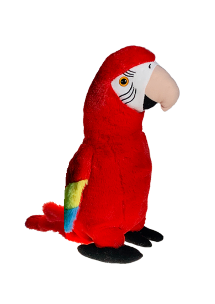 Cherry the Parrot