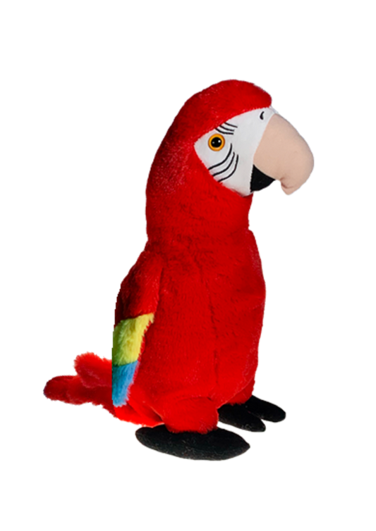 Cherry the Parrot