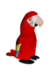 Cherry the Parrot