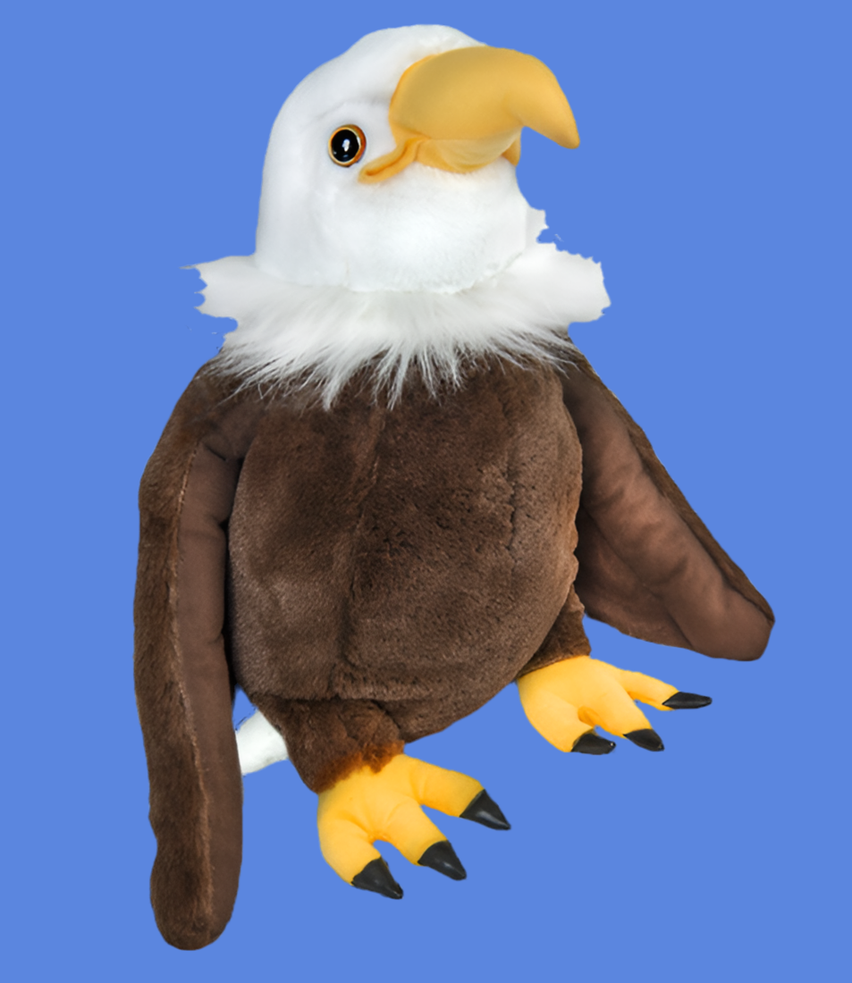 Creed The Bald Eagle