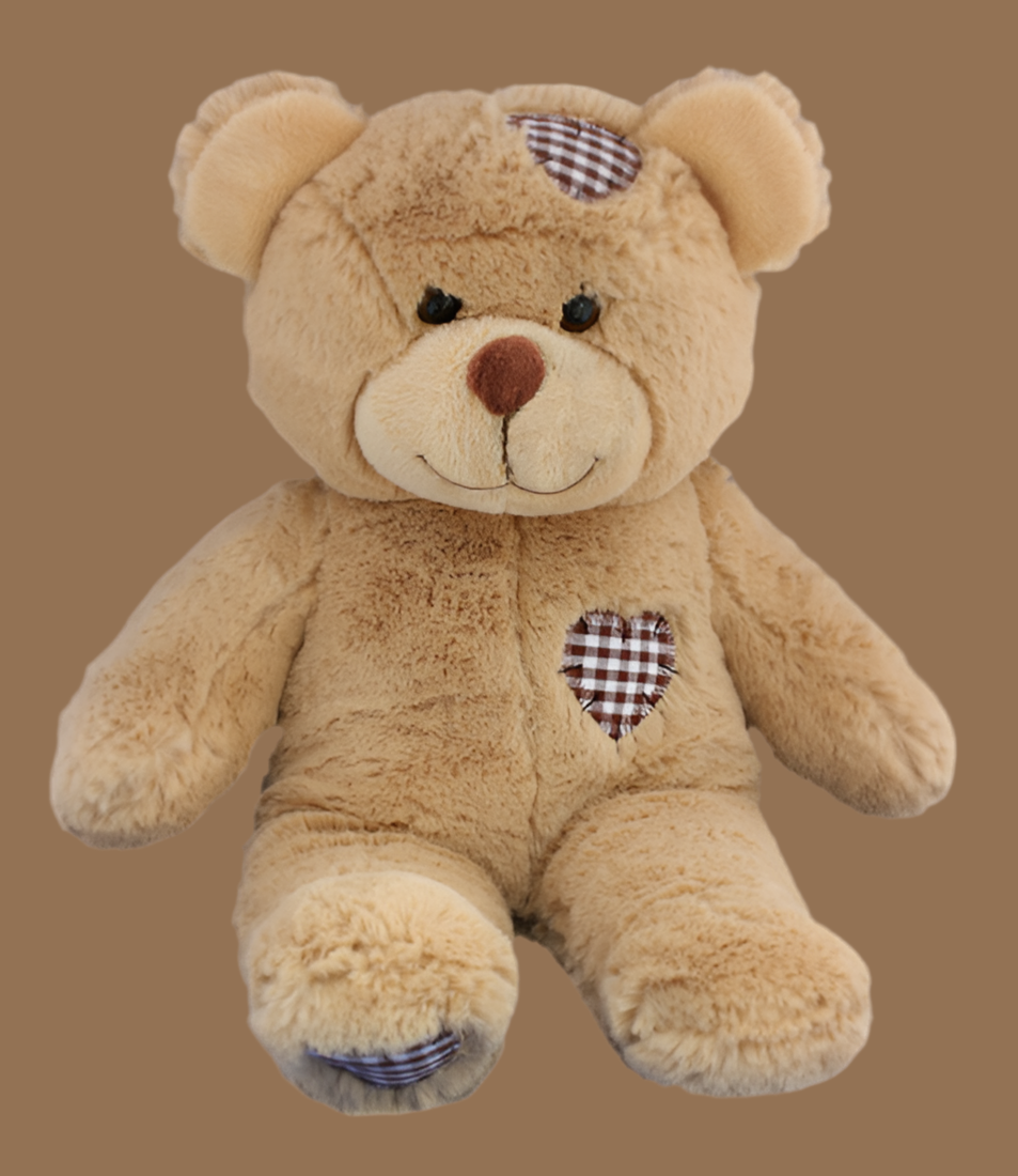 Biscuit the Brown Bear