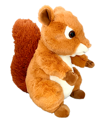 Acorn The Squirrel