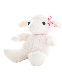 Little Lady the Lamb