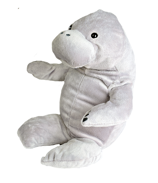 Mandy the Manatee