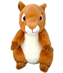 Acorn The Squirrel