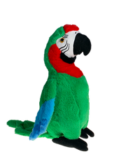 Kiwi the Parrot