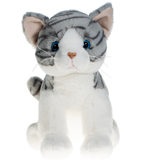 Sylvia the Cat