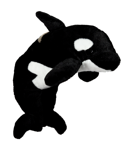 Orlo the Orca