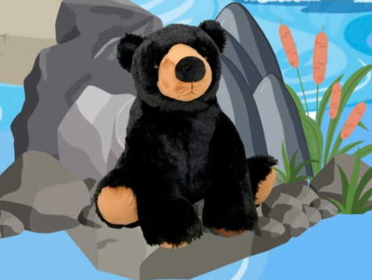 Finn The Black Bear