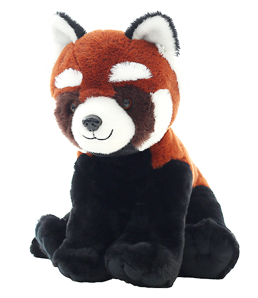 Peter the Red Panda