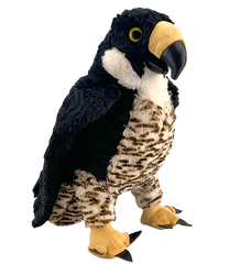 Furman the Falcon