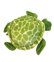 Shellby the Sea Turtle