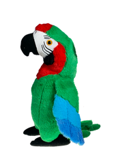 Kiwi the Parrot