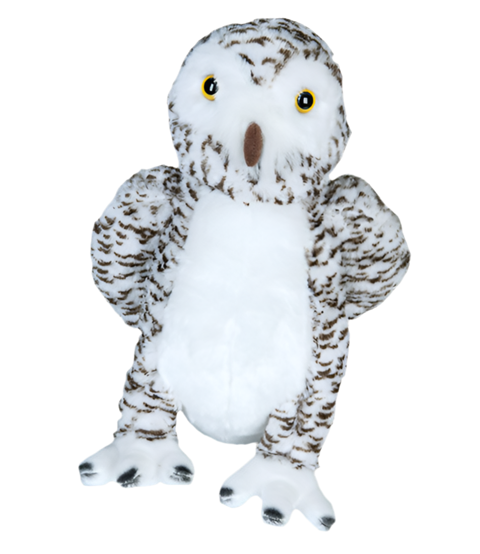 Owlbert The Owl