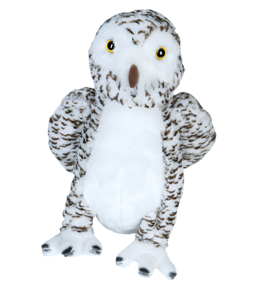 Owlbert The Owl