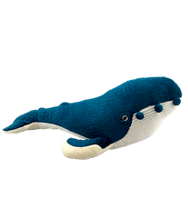 Henry the Humpback Whale