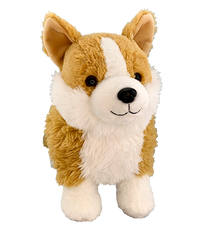 Norbit the Corgi