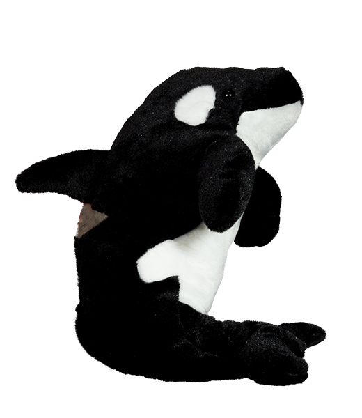 Orlo the Orca