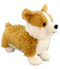 Norbit the Corgi
