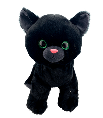 Wednesday the Black Cat