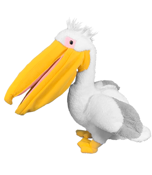 Pepper the Pelican