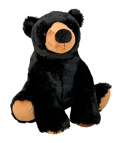 Finn The Black Bear