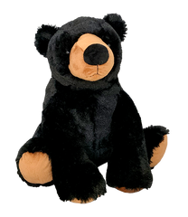Finn The Black Bear