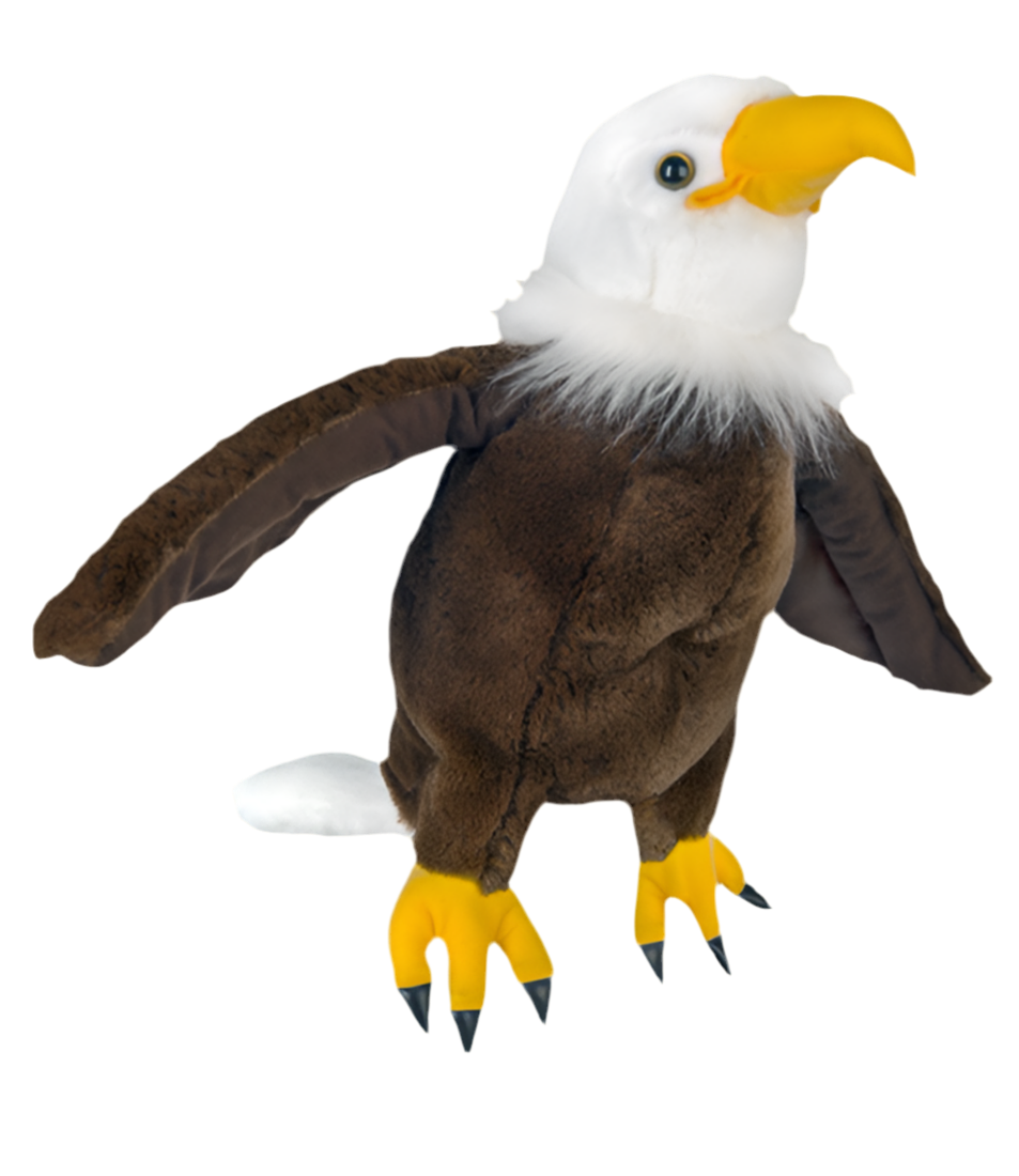 Creed The Bald Eagle