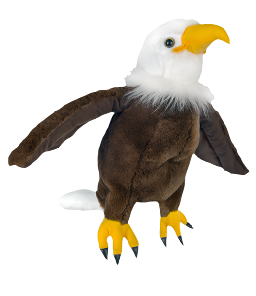 Creed The Bald Eagle