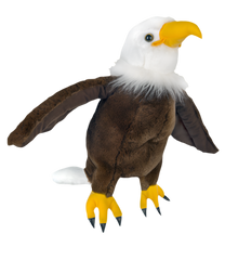 Creed The Bald Eagle