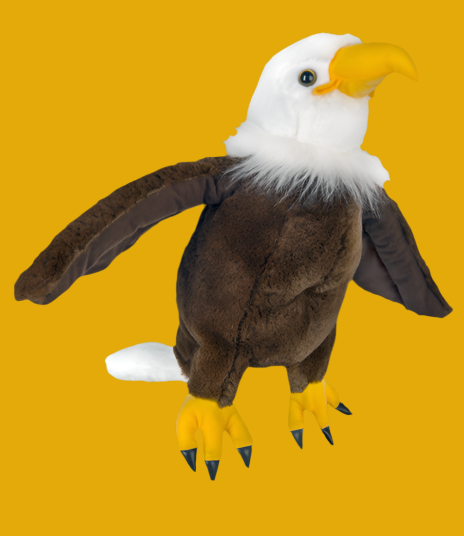 Creed The Bald Eagle