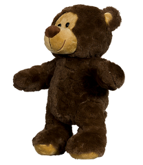 Bruno the Brown Bear