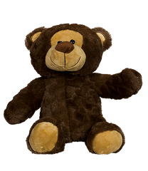 Bruno the Brown Bear
