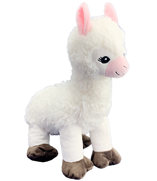 Lily - llama