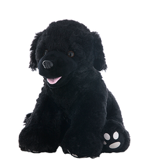 Rocky the Black Lab