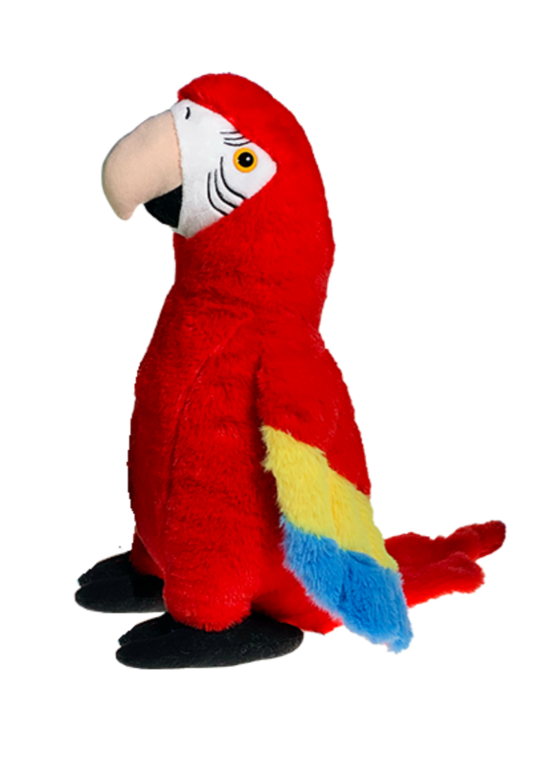 Cherry the Parrot