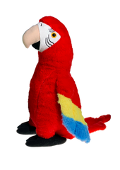 Cherry the Parrot