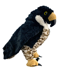 Furman the Falcon