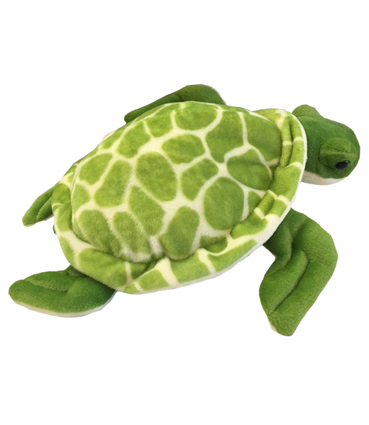 Shellby the Sea Turtle