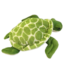 Shellby the Sea Turtle