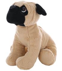 Maya the Pug