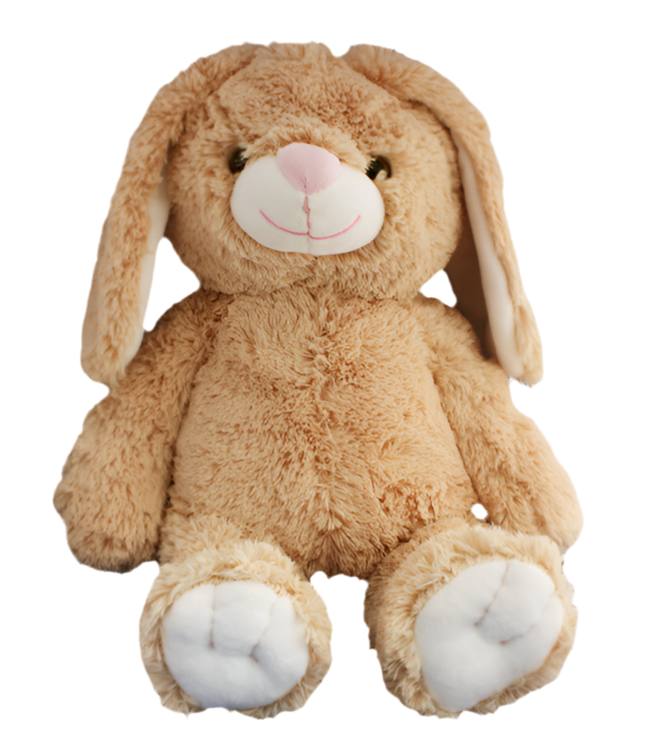 Lopsy the Bunny