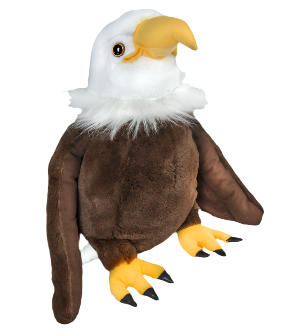 Creed The Bald Eagle