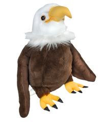 Creed The Bald Eagle